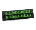 FType Plate with 6 Duplex SC Green Adapters