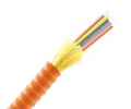 12 Fiber Armored Distribution Cable OM1 OFNR