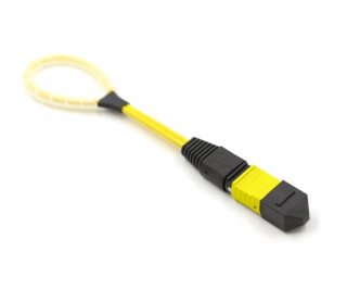 12 Fiber MTP Elite Loopback F OS2 12 Pinout