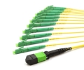 1m MTP Female to 12 LC APC 12 Fiber Singlemode OS2 9/125 Fanout Cable 1m MTP Female to 12 LC APC 12 Fiber Singlemode OS2 9/125 Fanout Cable