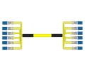 12 Fiber Singlemode Custom Fiber Cable Assembly