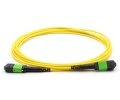 2m 12 Fiber MTP Cable Singlemode MTP MTP