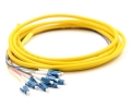 3m 12 Fiber LC Pigtail Singlemode OS2