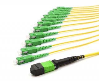 10m MTP Male to 12 SC APC 12 Fiber Singlemode OS2 9/125 Fanout Cable