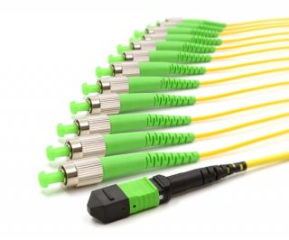 10m MTP Male to 12 FC APC 12 Fiber Singlemode OS2 9/125 Fanout Cable