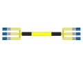 6 Fiber Singlemode Custom Fiber Cable Assembly
