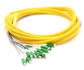 3m 12 Fiber LC/APC Pigtail Singlemode OS2