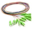 3m 12 Fiber SC/APC Pigtail Singlemode OS2