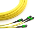 144 Fiber MTP Singlemode OS2 Trunk Cable Confi