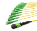 1m MTP Female to 12 SC APC 12 Fiber Singlemode OS2 9/125 Fanout Cable