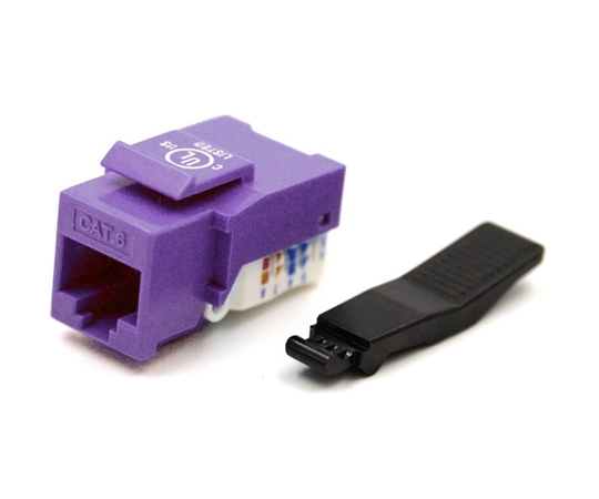 Cat5e Keystone Jack Toolless Type Purple Cat5e Keystone Jack Toolless Type Purple