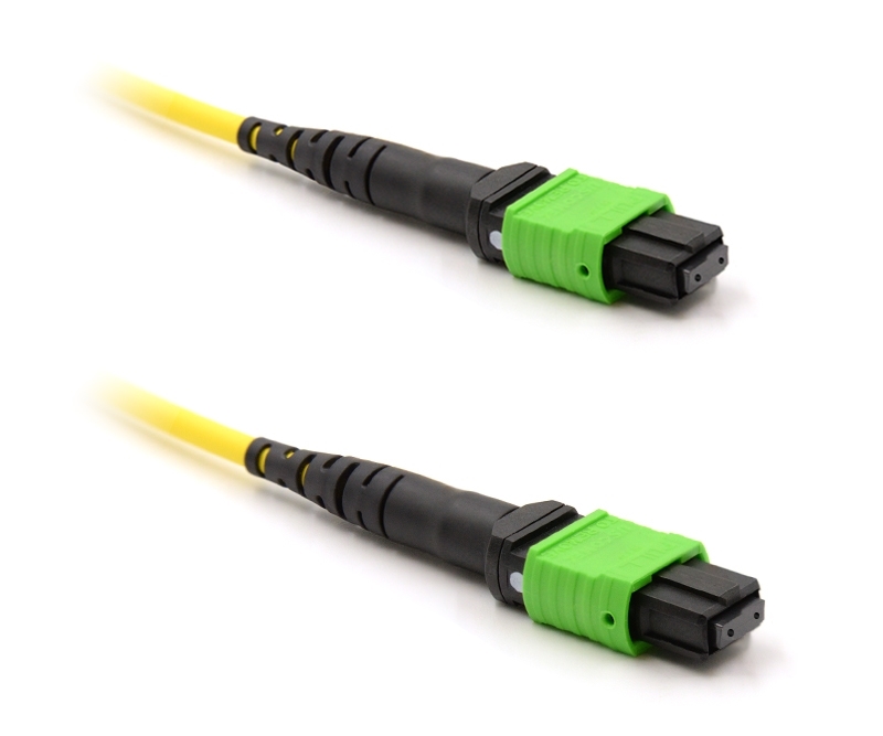 2m 24 Fiber MTP Cable Singlemode Pin 113