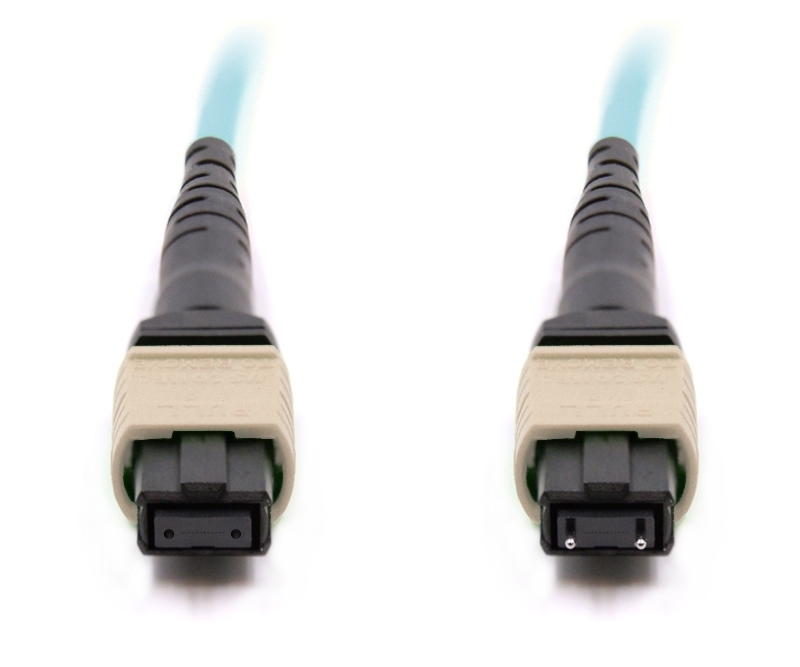 1m 24 Fiber MTP Cable Multimode OM3 100Gb