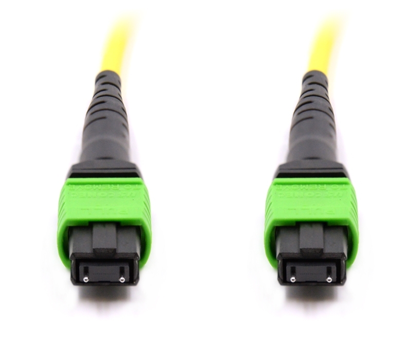 10m 24 Fiber MTP Cable Singlemode Pin 113