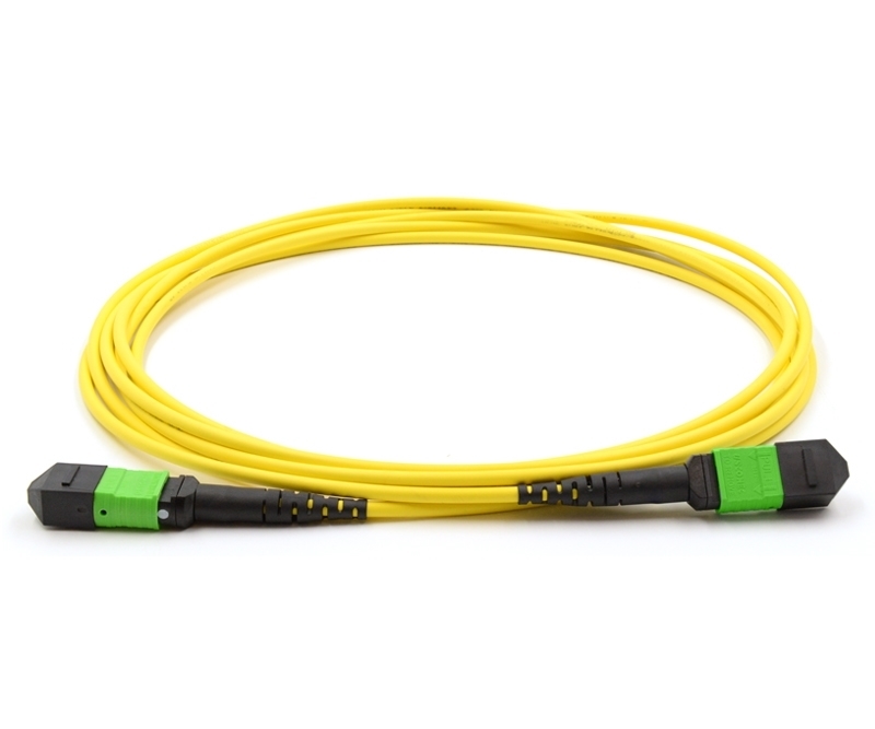 10m 24 Fiber MTP Cable Singlemode Pin 113