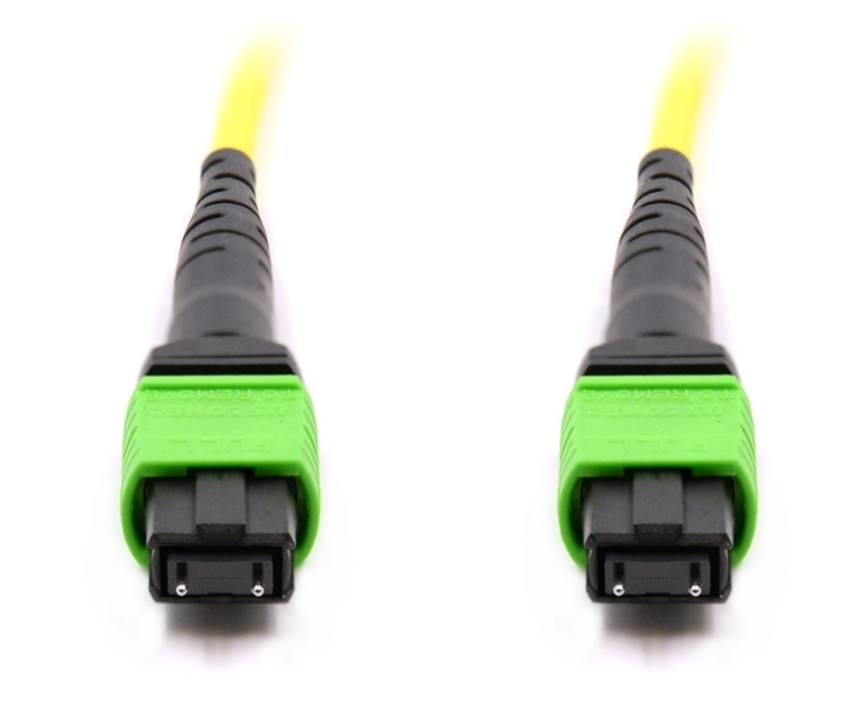 10m 24 Fiber MTP Cable Singlemode Pin 113