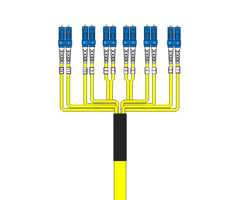 24 Fiber Singlemode Custom Fiber Cable Assembly