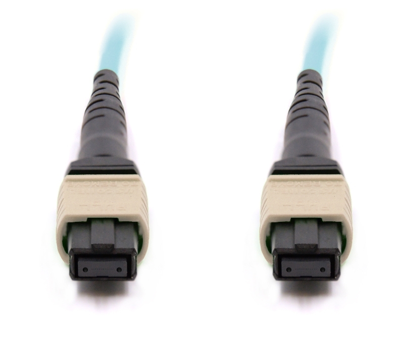 3m 24 Fiber MTP Cable Multimode OM3 100Gb