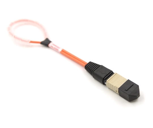 24 Fiber MTP Elite Loopback M OM1 113 Pinout 24 Fiber MTP Elite Loopback M OM1 113 Pinout