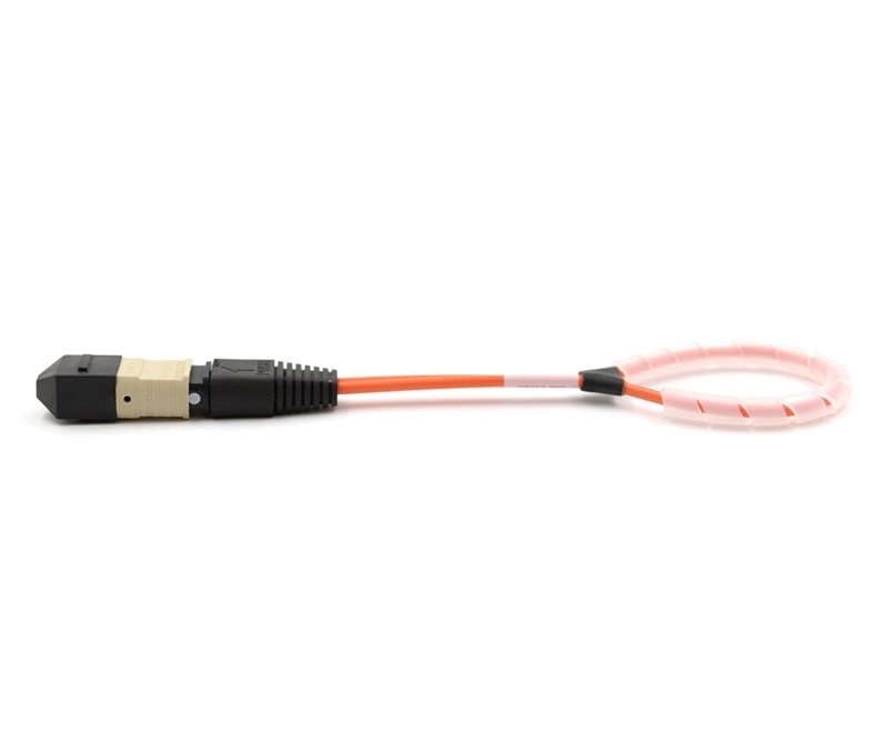 24 Fiber MTP Elite Loopback M OM1 113 Pinout