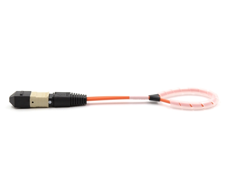 12 Fiber MTP Std Loopback M OM1 12 Pinout