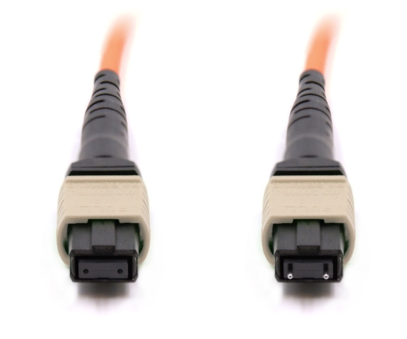 2m 24 Fiber MTP Cable Multimode OM1 Pin 113