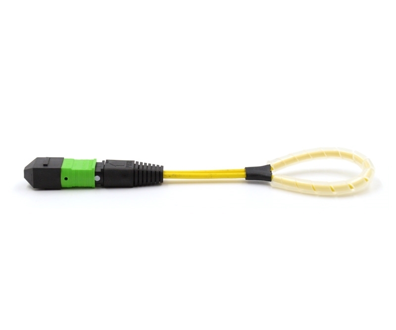 24 Fiber MTP Std Loopback F OS2 113 Pinout