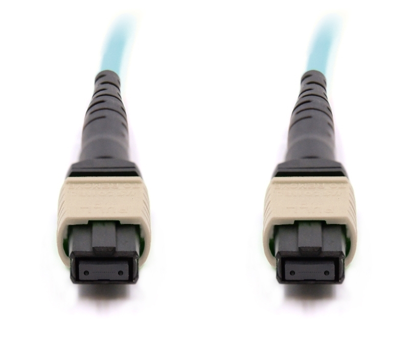5m 24 Fiber MTP Cable Multimode OM4 100Gb